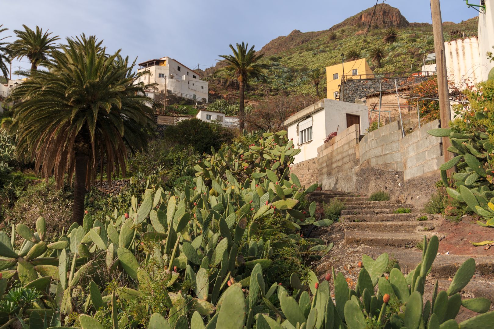 Abstieg von Imada in den Barranco de Guarimiar