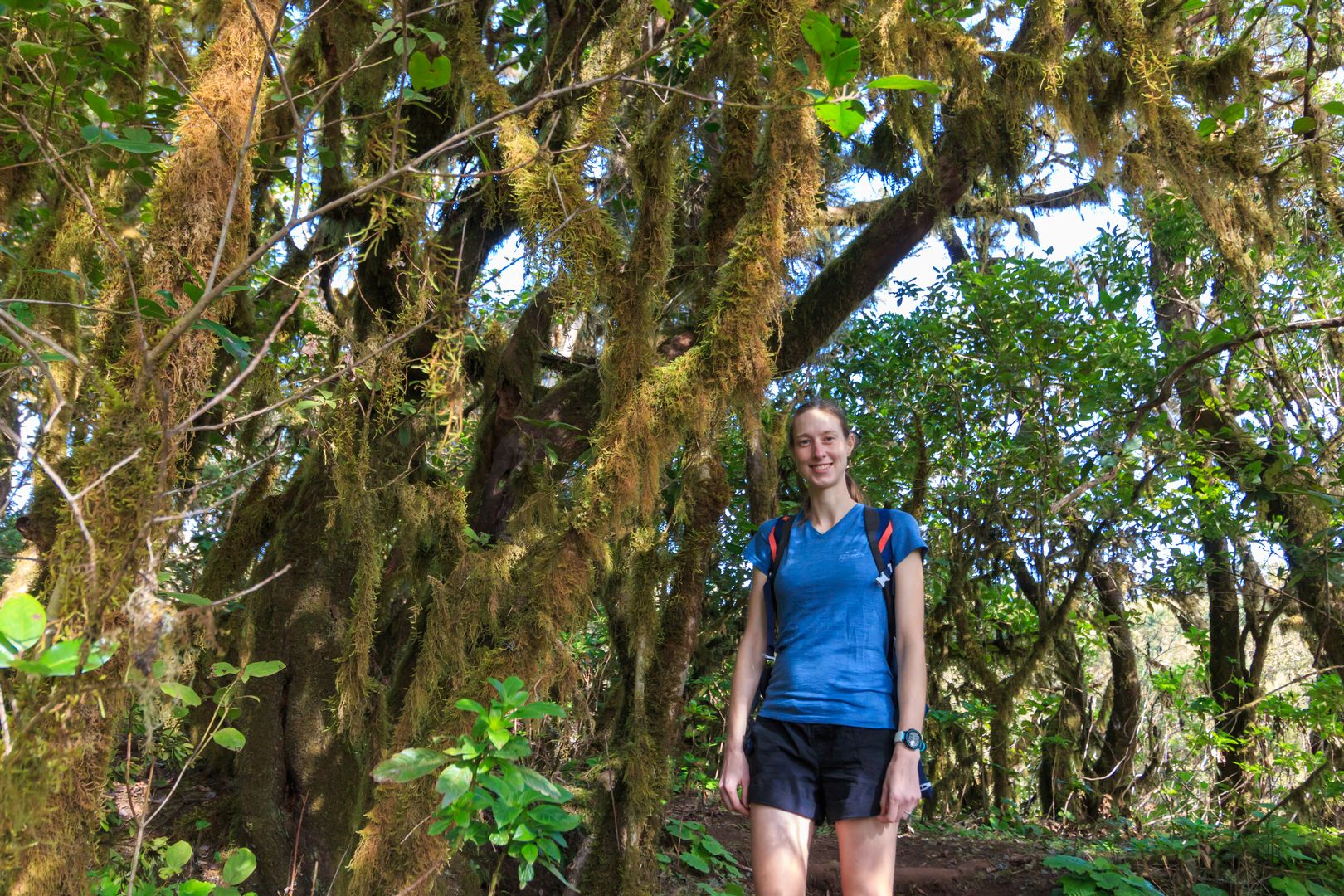 Svenja im moosbewachsenen Wald des Nationalpark Garajonay
