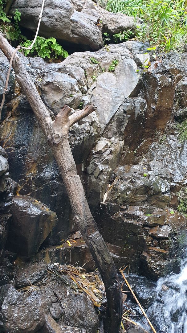 Kletterpartie auf dem Weg zum Wasserfall Salto de Agua im Valle Gran Rey