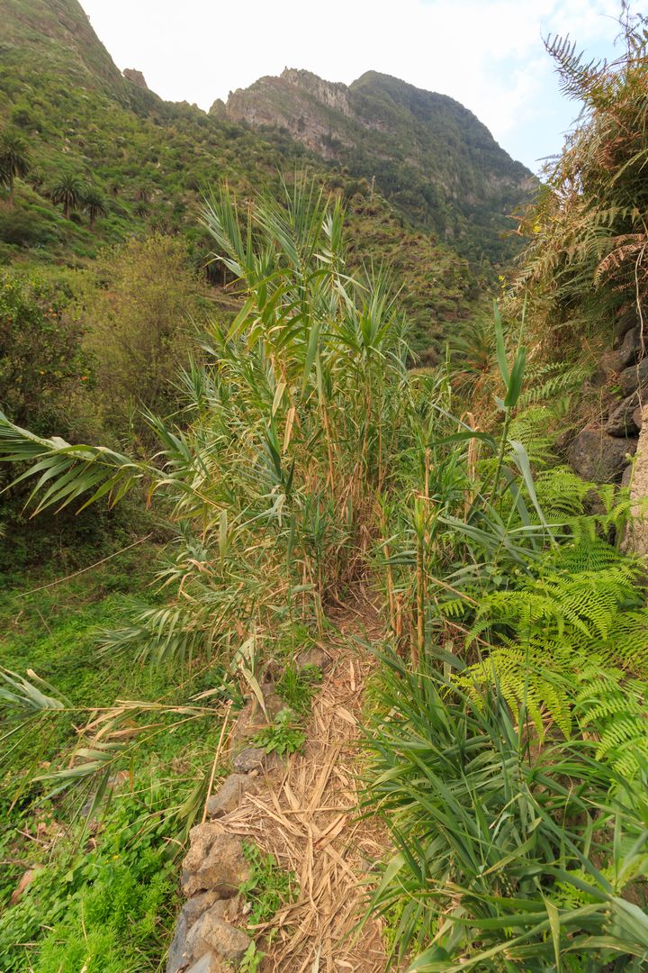 schmaler Pfad am Barranco del Cedro