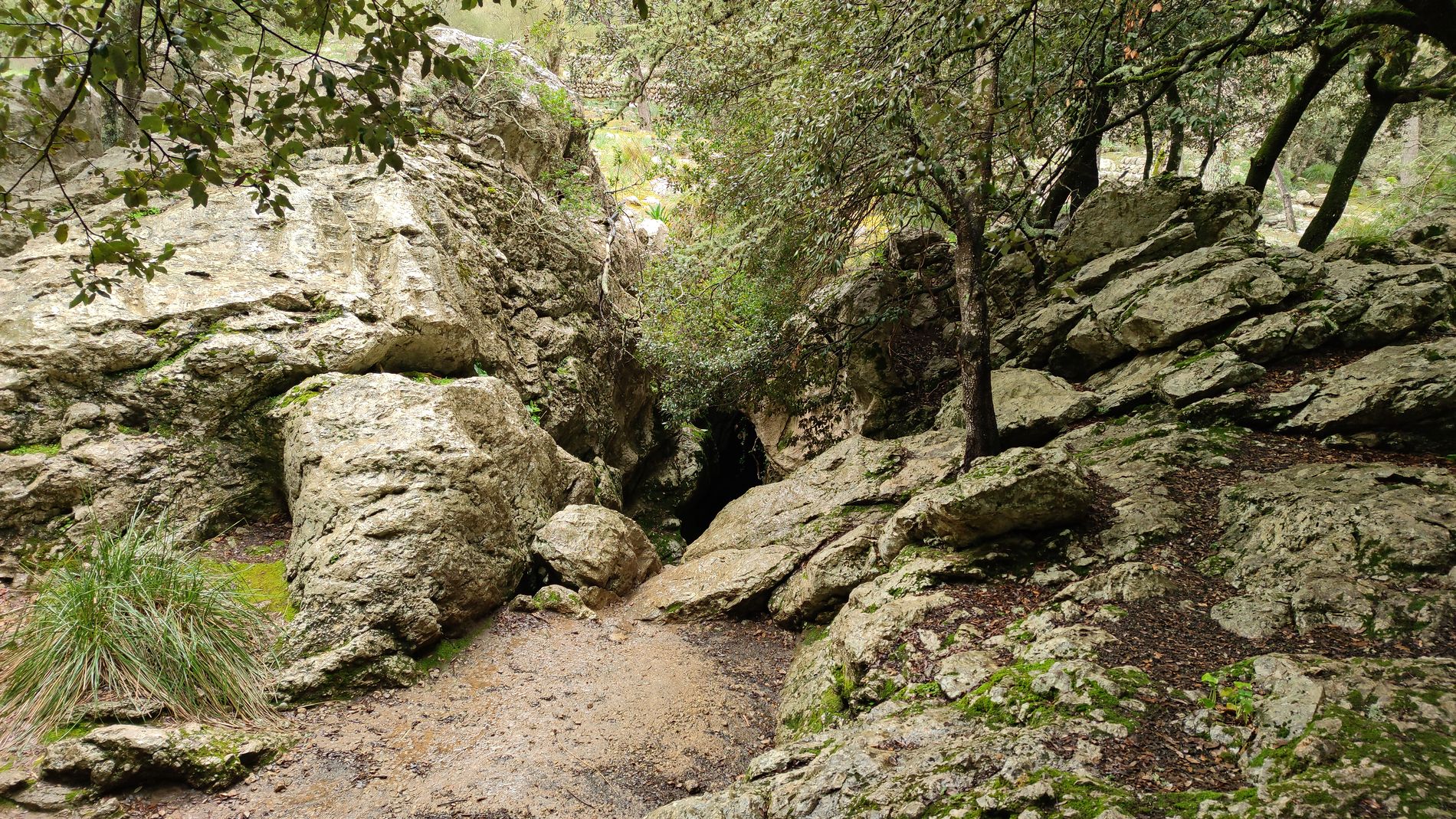 Höhle "Cova de sa Cometa dels Morts"