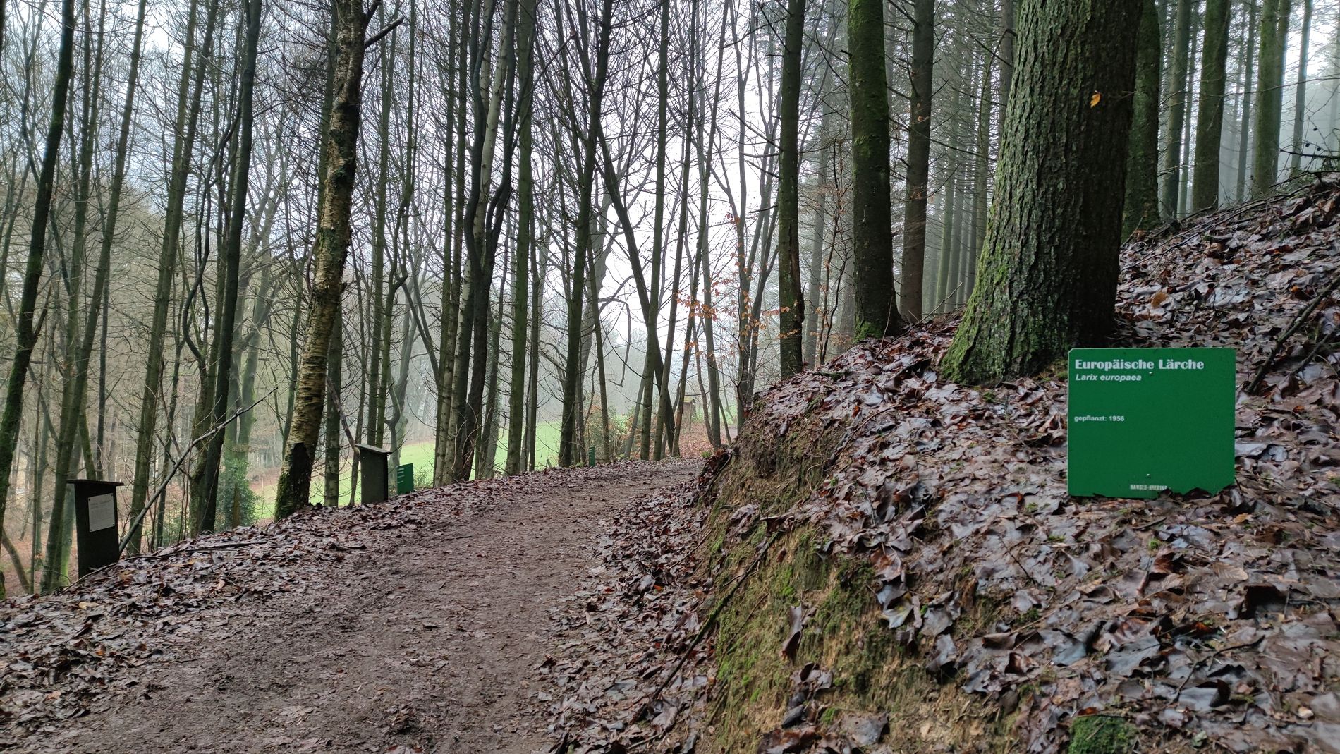 Baum-Lehrpfad bei Tecklenburg