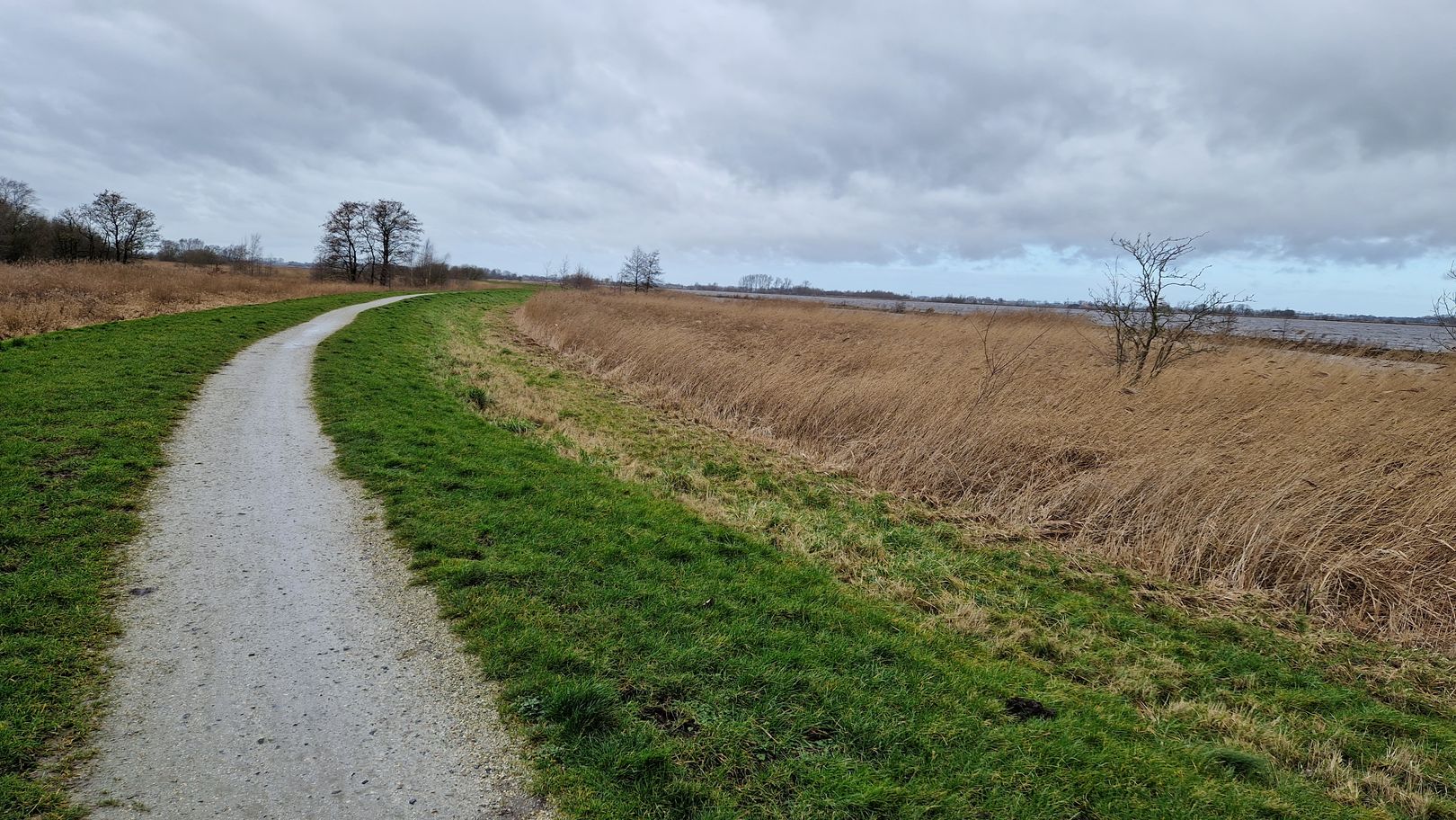 Fietsenpad
