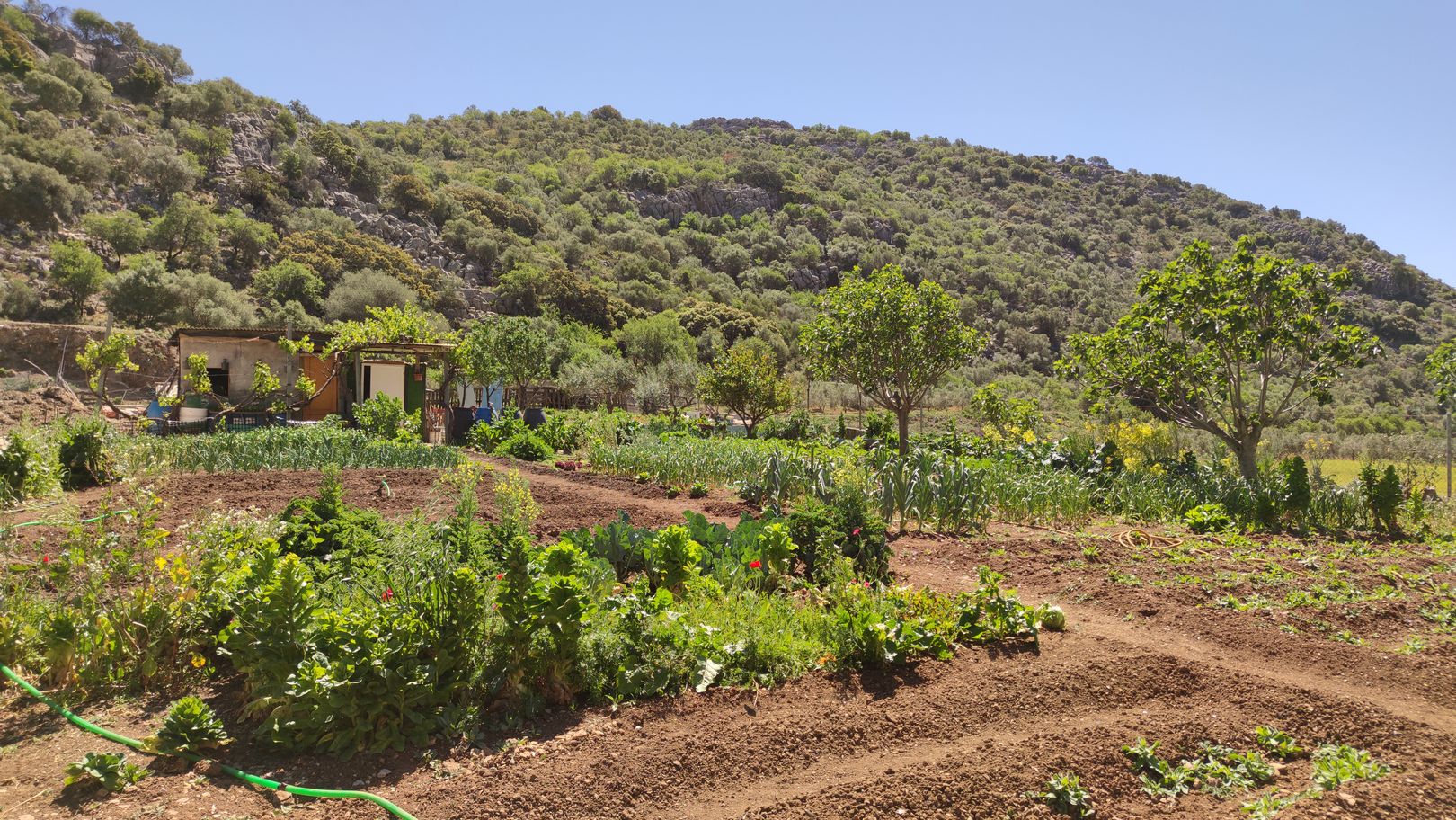 Garten in Benaojan in der Sierra de Grazalema