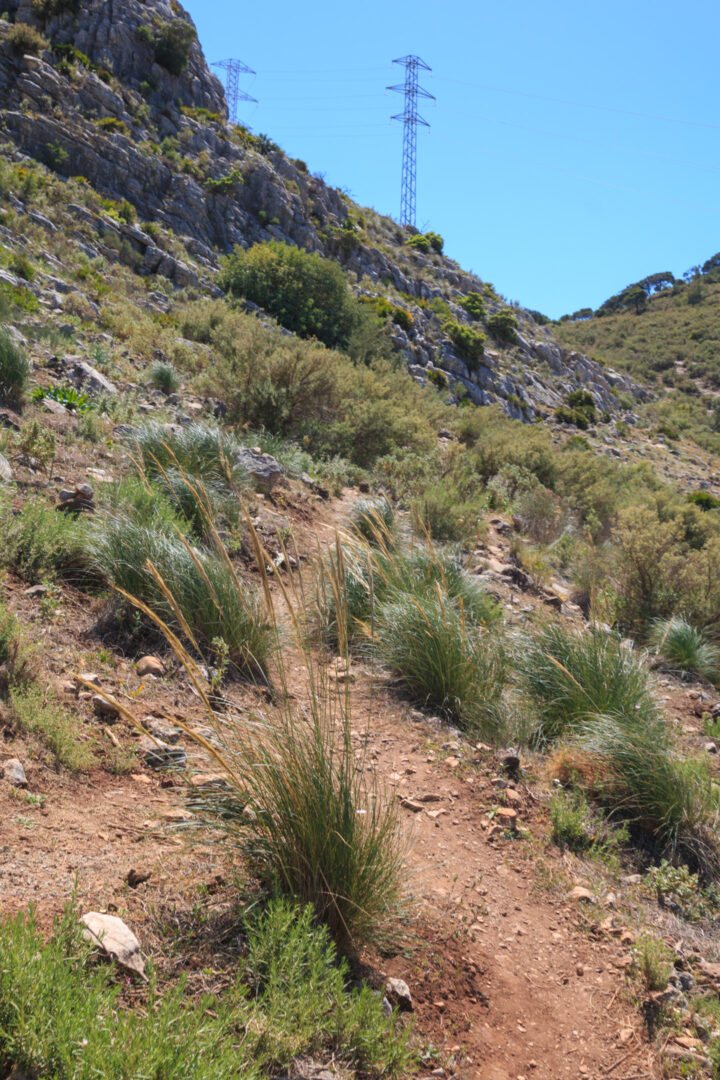 Pfade zum und auf dem Bergrücken nahe des Mirador de las Buitreras