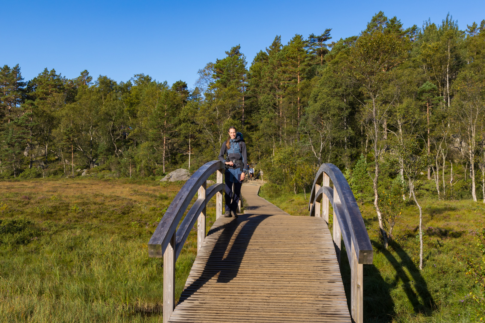 Holzplankenpfad auf dem Weg zum Preikestolen