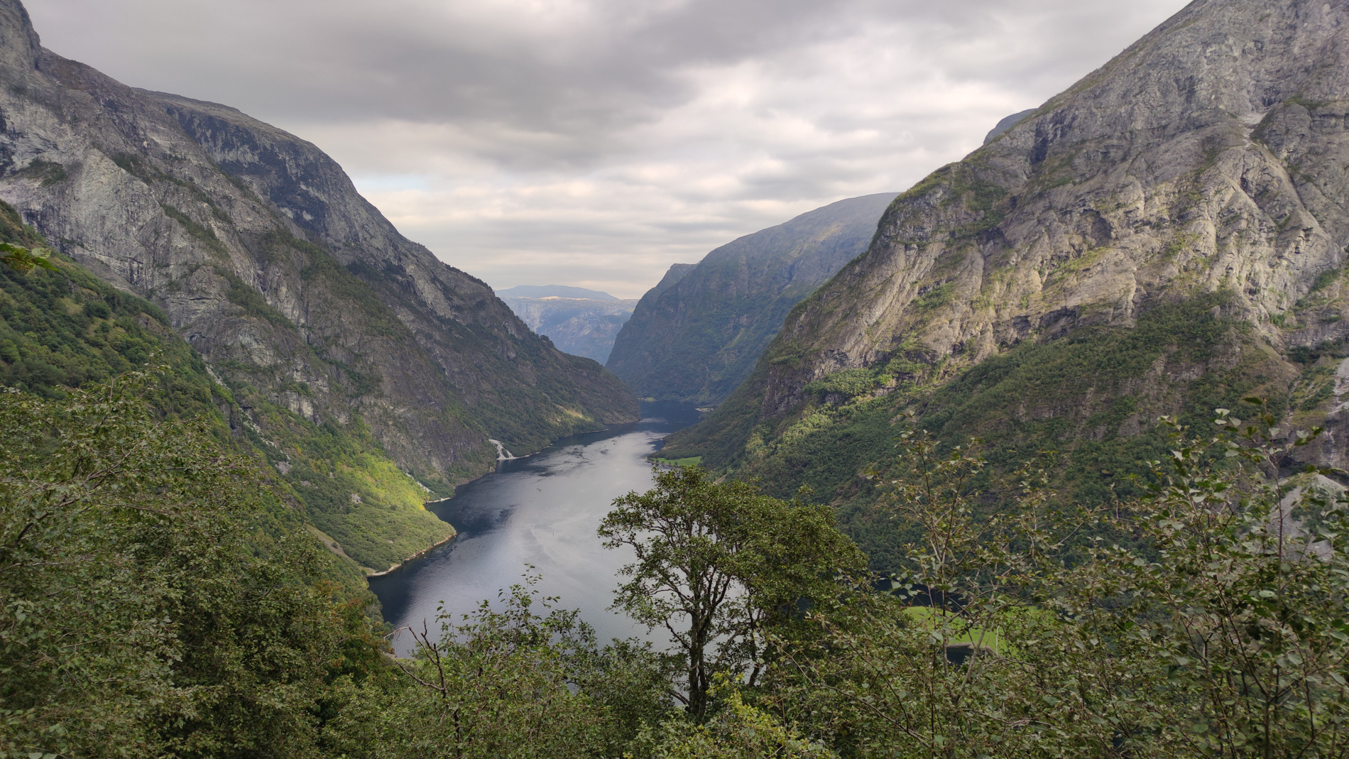 Blick vom Rimstigen auf den Nærøyfjord in Norwegen
