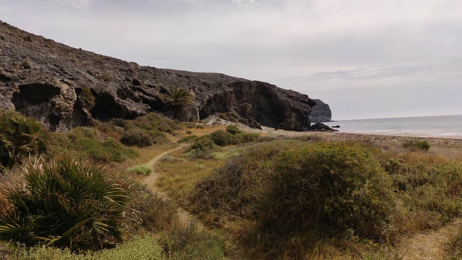 grasiger Pfad zur Bucht von Monsul an der Cabo de Gata