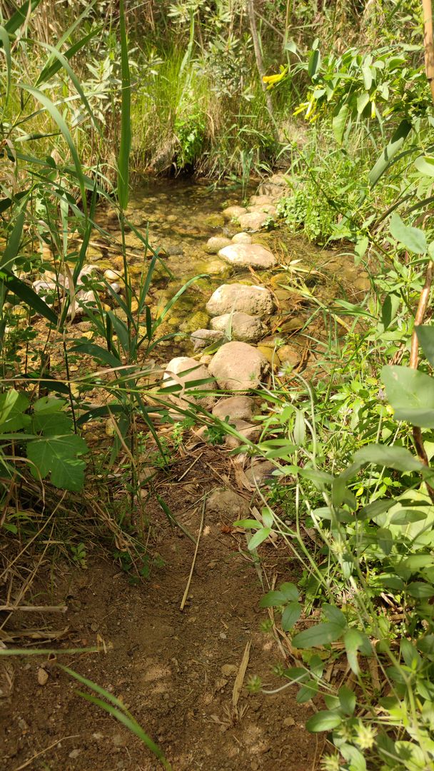 Querung des Rio Aguas bei Los Molinos de Rio Aguas im Naturgebiet Karst en Yesos de Sorbas