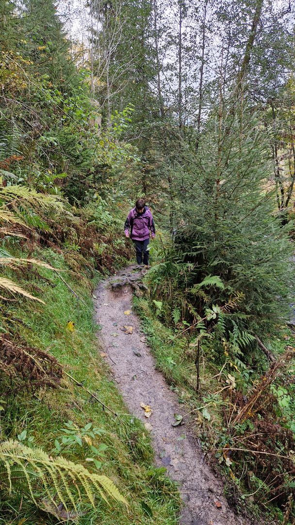 schmaler Pfad in der Rötenbachschlucht